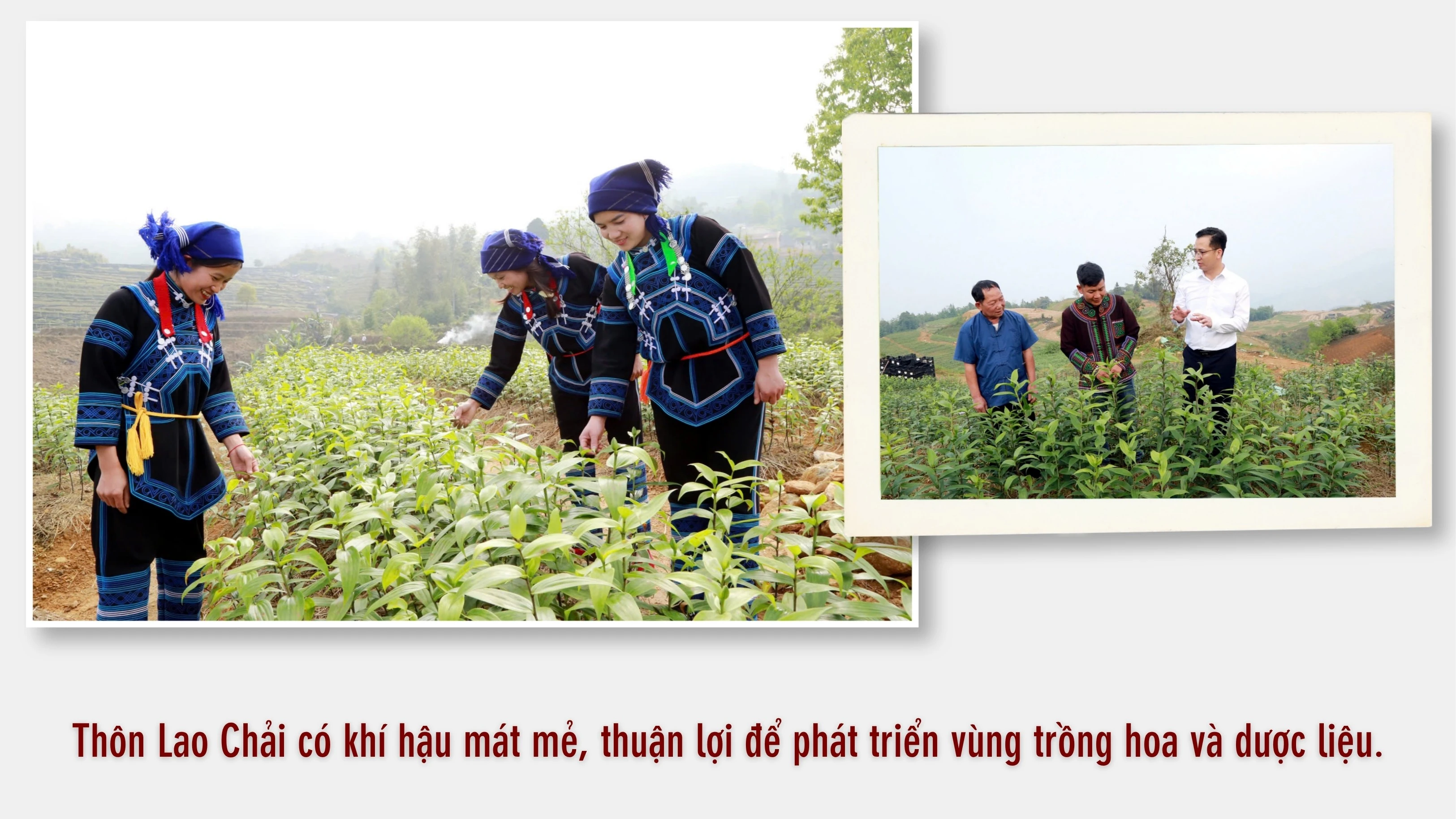 khat-vong.jpg