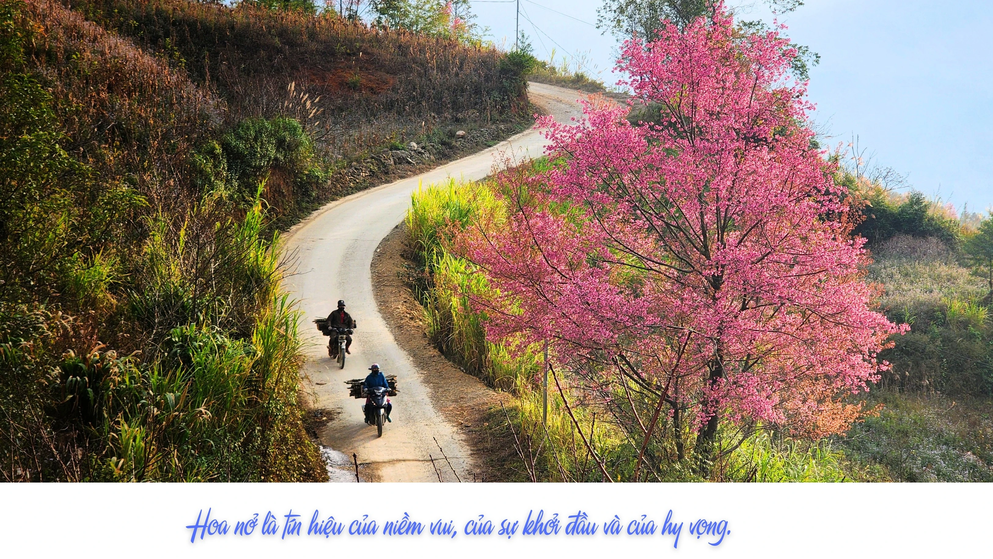 tu-hoa-rung-1.jpg