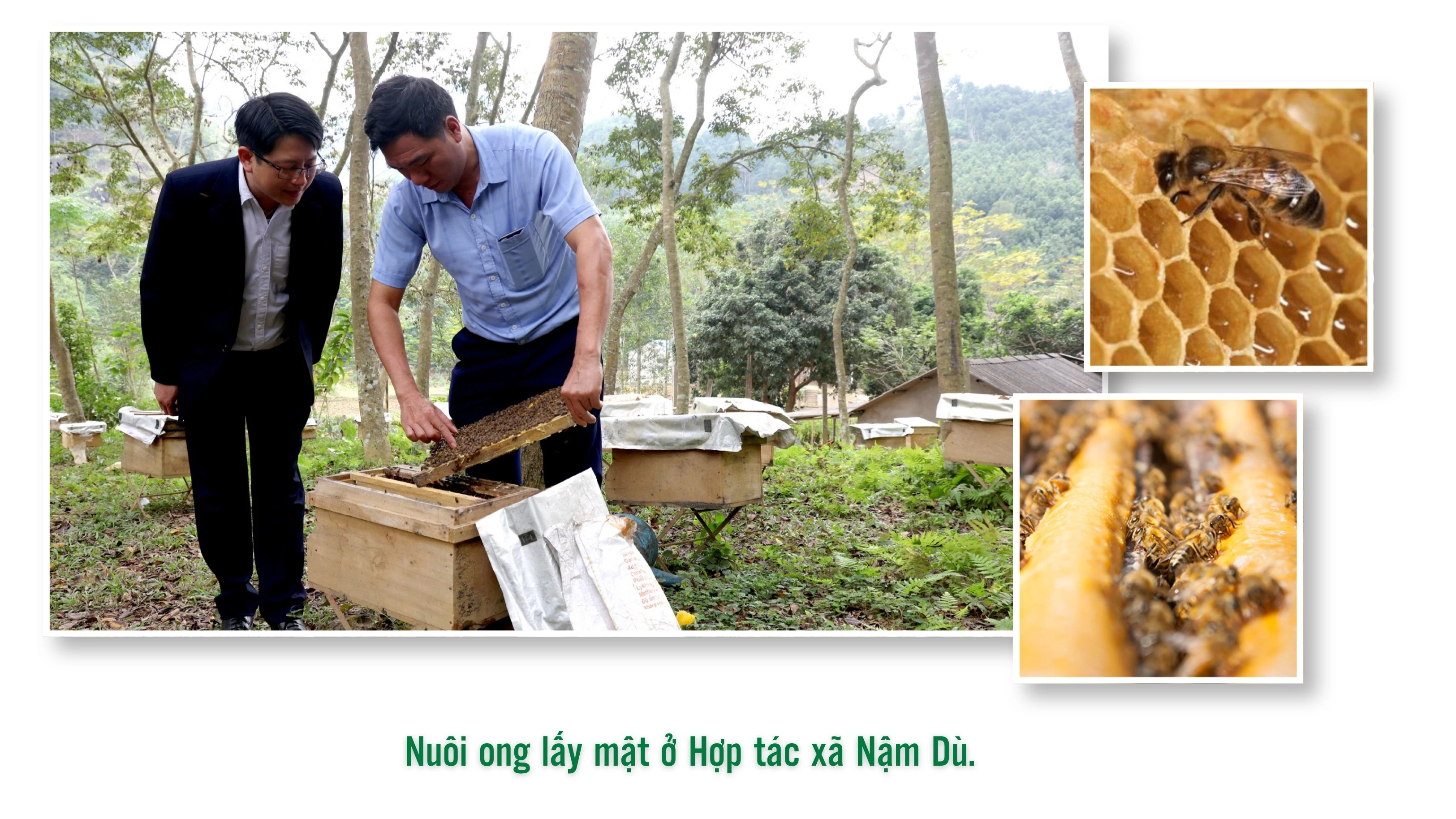 xuan-quang.jpg