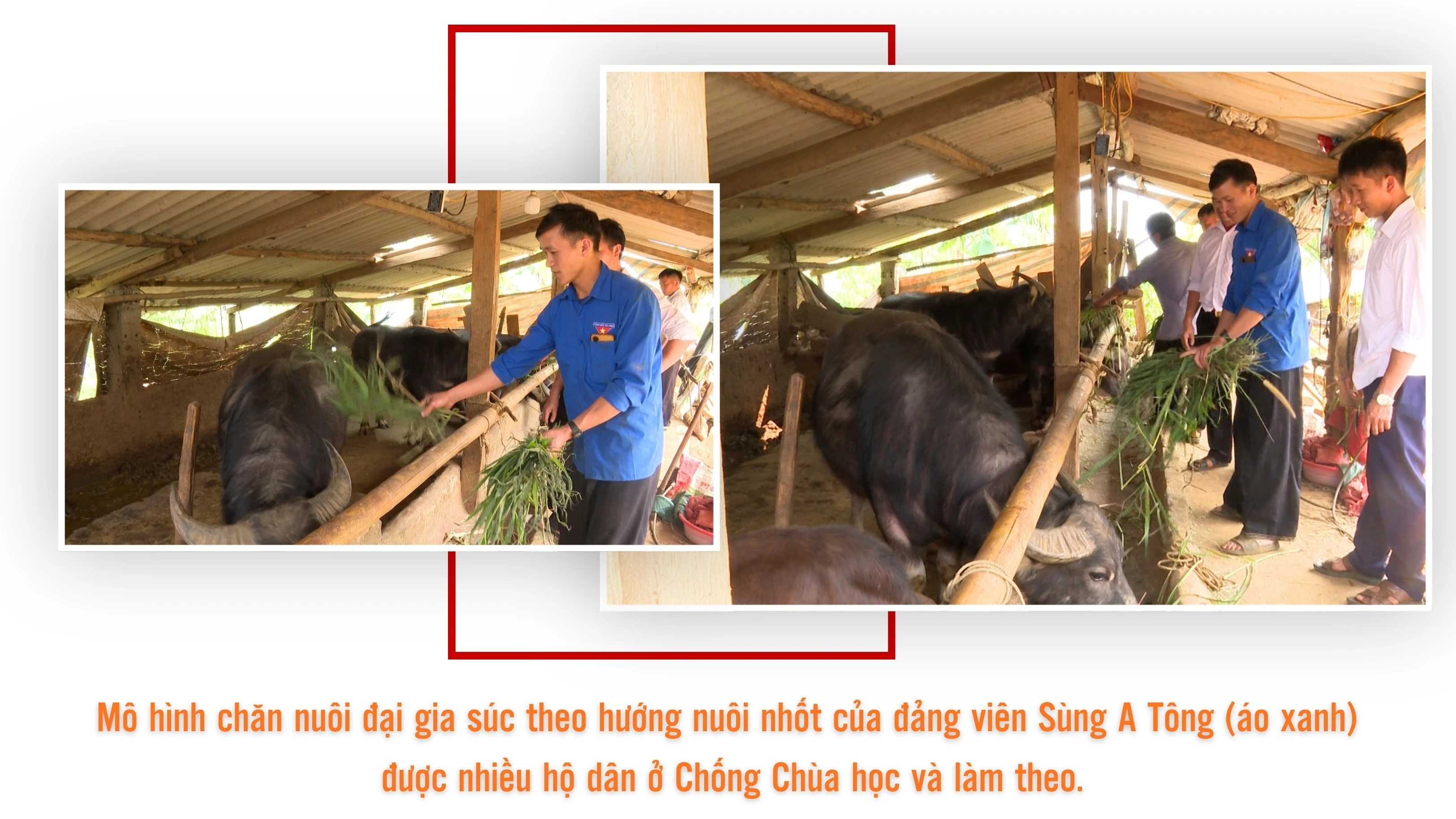 nhung-bi-thu-chi-bo-2.jpg