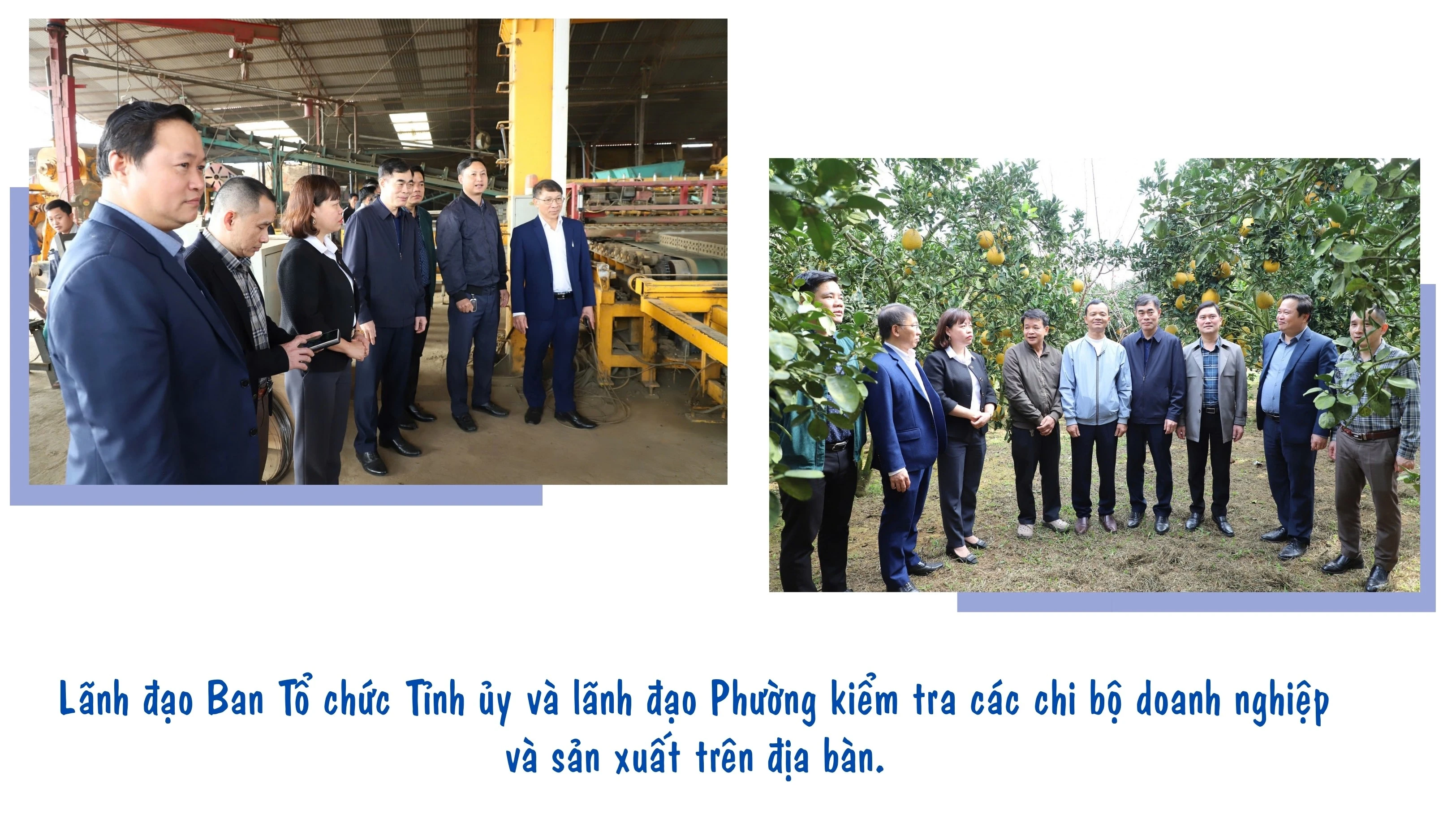 phuong-trung-tam-1.jpg