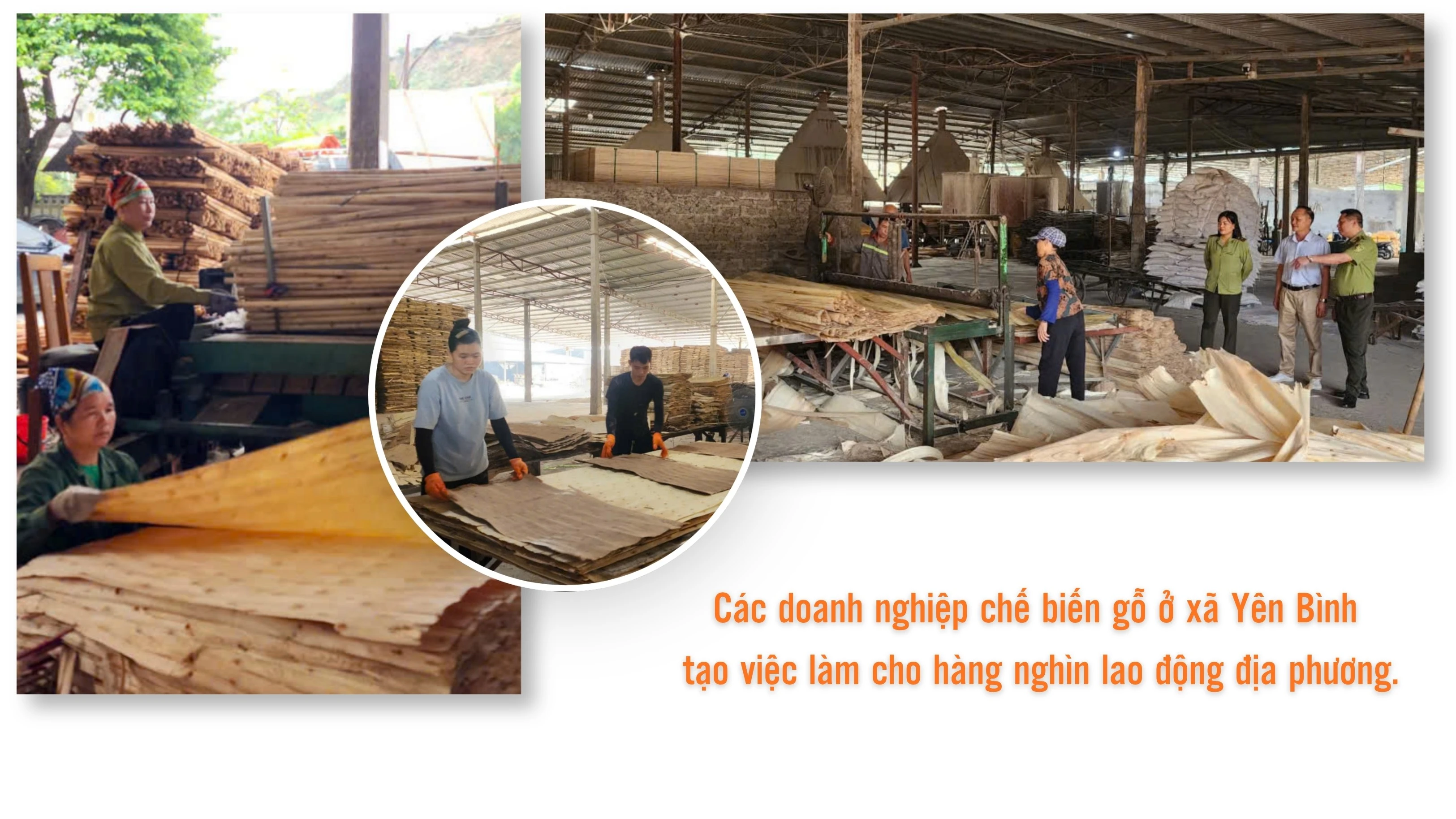cho-cac-co-so-che-bien-lam-san-o-yen-binh-1455.jpg
