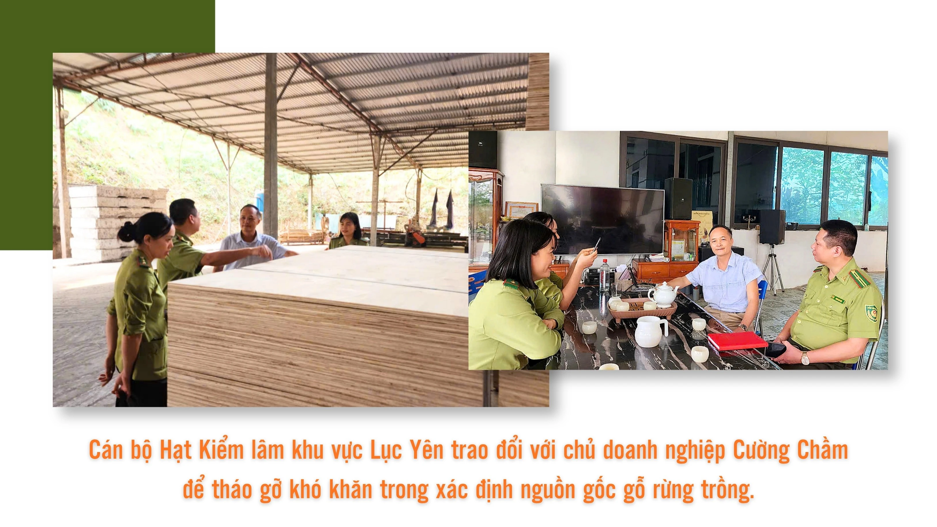 cho-cac-co-so-che-bien-lam-san-o-yen-binh-1-4132.jpg