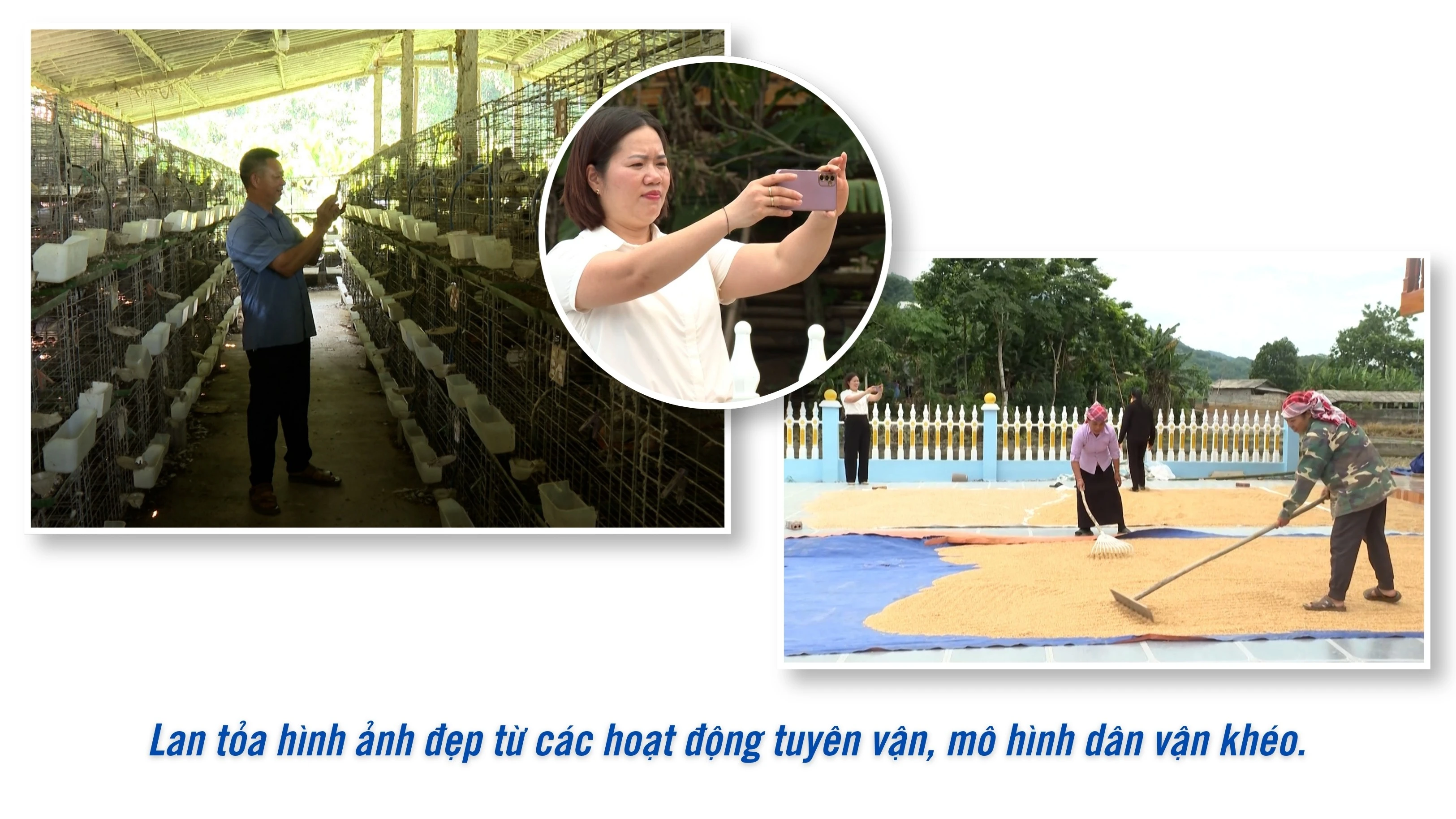 co-trach-nhiem-voi-thong-tin-1.jpg
