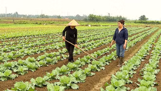 Phụ nữ Quy Mông khẳng định vị thế, phát triển kinh tế bền vững từ nông nghiệp