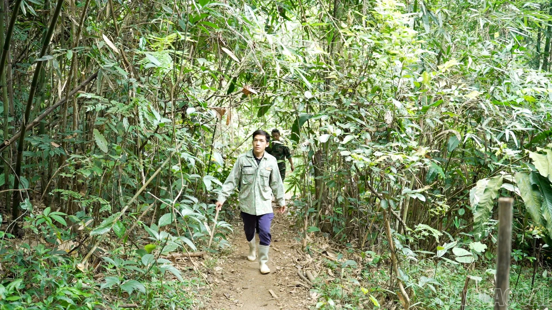 baolaocai-br_sequence-7500-01-59-06still003.jpg