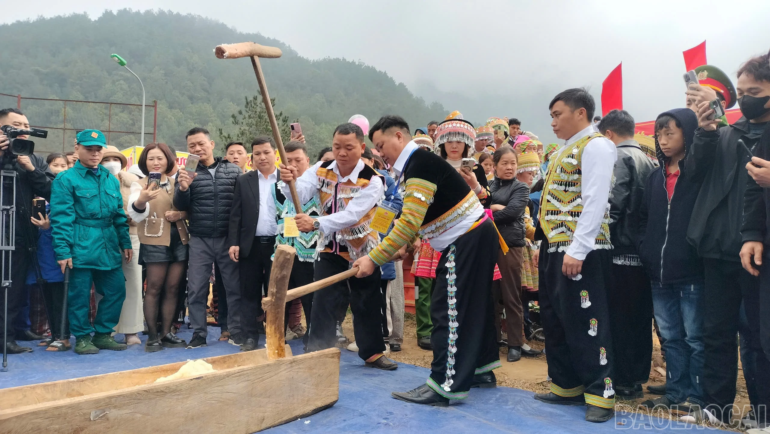 baolaocai-br_z7615806302715-e84bed7fcc45a6c72225bc5630a8cd7c.jpg