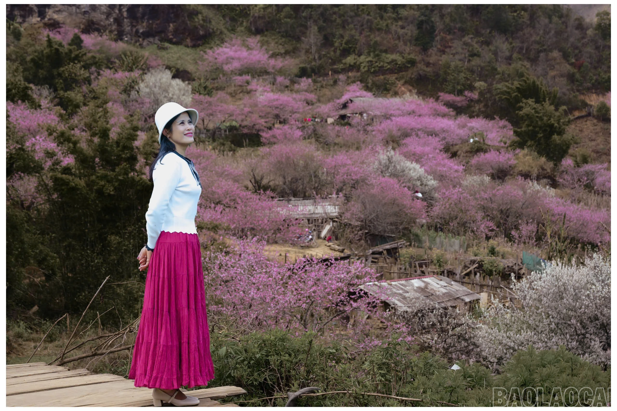 baolaocai-br_z7604737030613-e0943bee71066e9c1ef88a64e703be9e.jpg