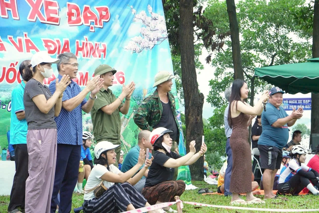 baolaocai-br_z7996452747975-51732b040dfadbc46a666ae67665d7d7.jpg