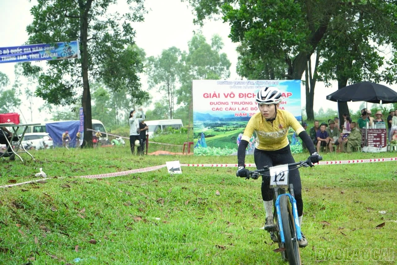 baolaocai-br_z7996436591091-3eb4ef2854150db95c0d0d3d033f7640.jpg