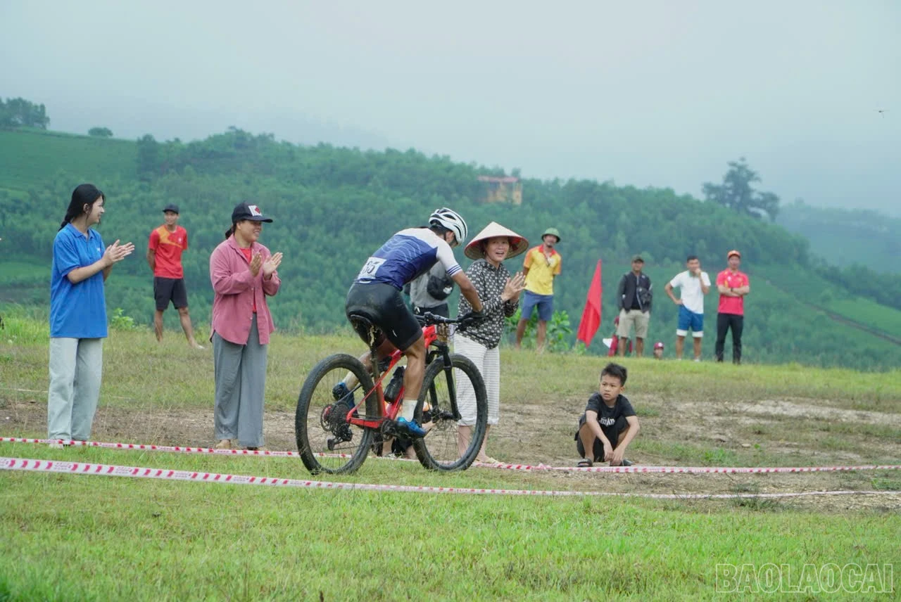 baolaocai-br_z7996451481514-c334f39e18507b35dac5196afcac7c1d.jpg