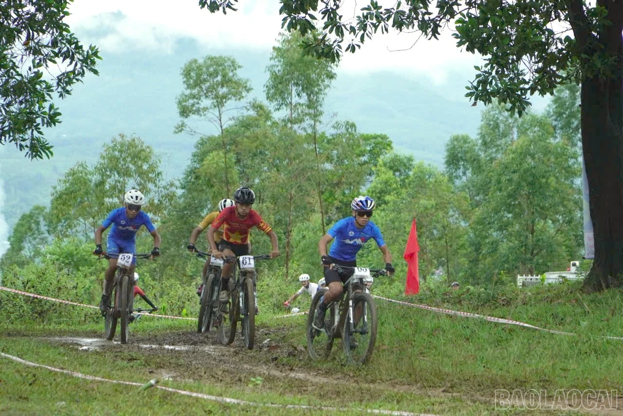 baolaocai-br_z7996437346713-8b439c99487fe89d998a04099b36cf25.jpg