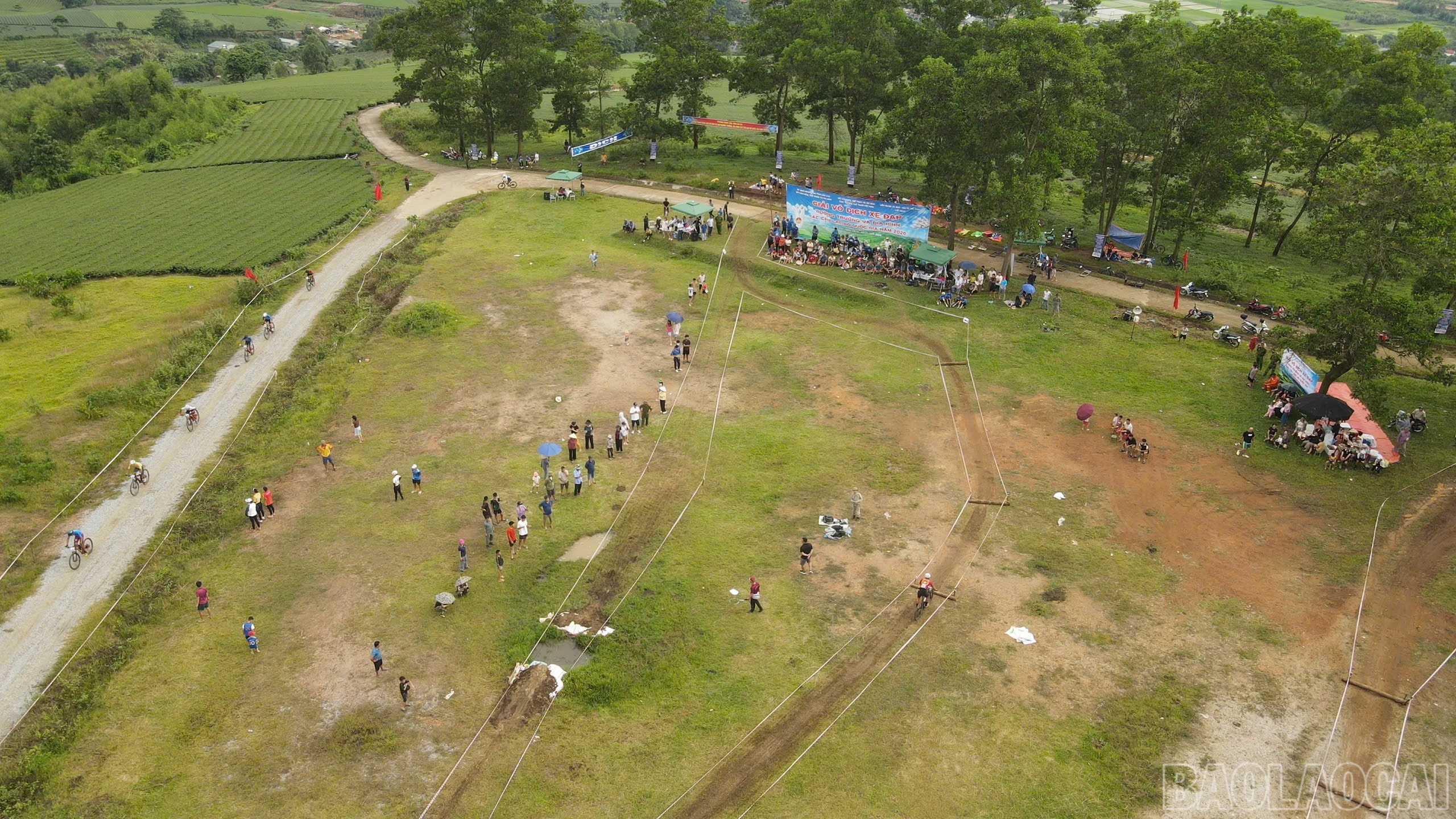 baolaocai-br_z7996434291765-eaed82bc8aa6f79f781ed1be934ca517.jpg