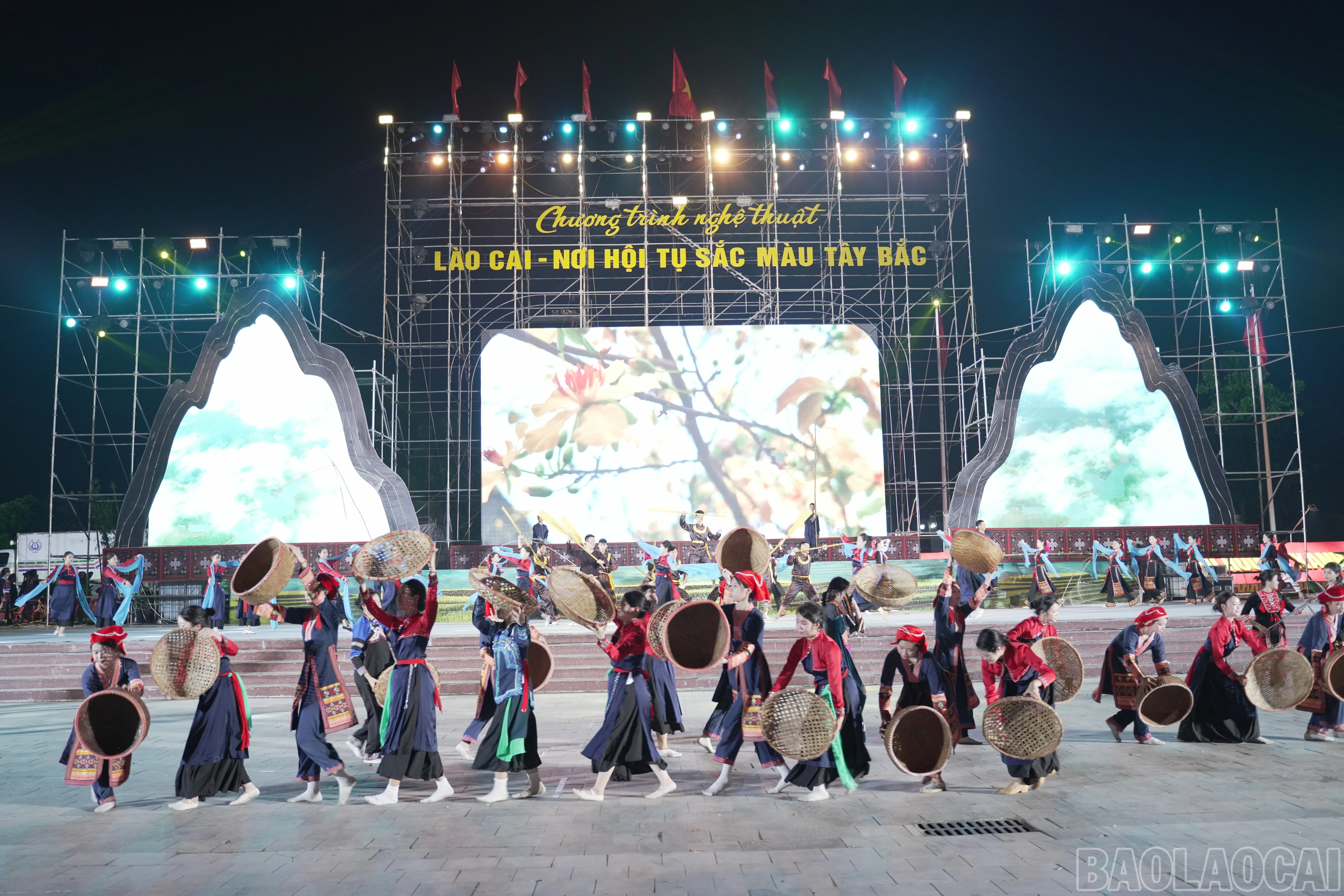 baolaocai-br_dsc09576.jpg