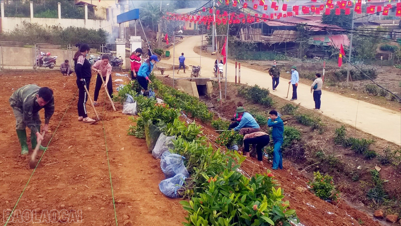 Chi hội Phụ nữ thôn Trung Tâm trồng hoa, cây cảnh ven trục đường chính của thôn tạo cảnh quan sạch đẹp. baolaocai-bl_273780662-633917947840642-2555422843183054549-n-7865-9490.jpg