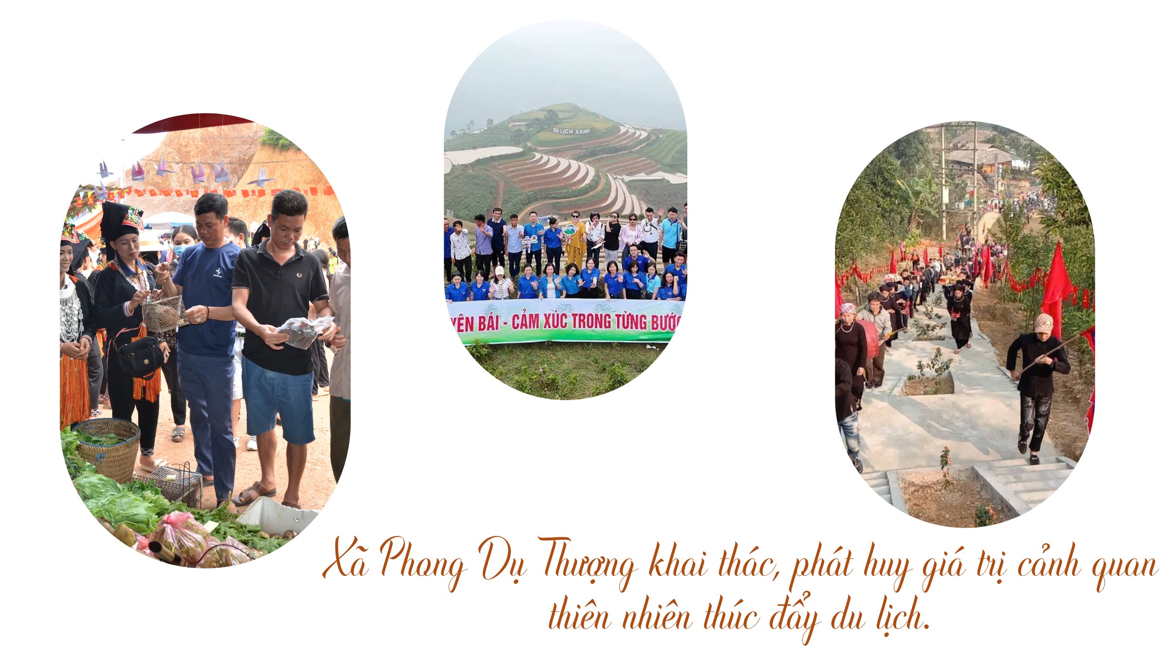 2-phong.png