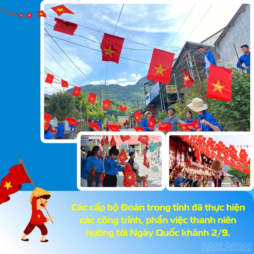 baolaocai-br_4.png