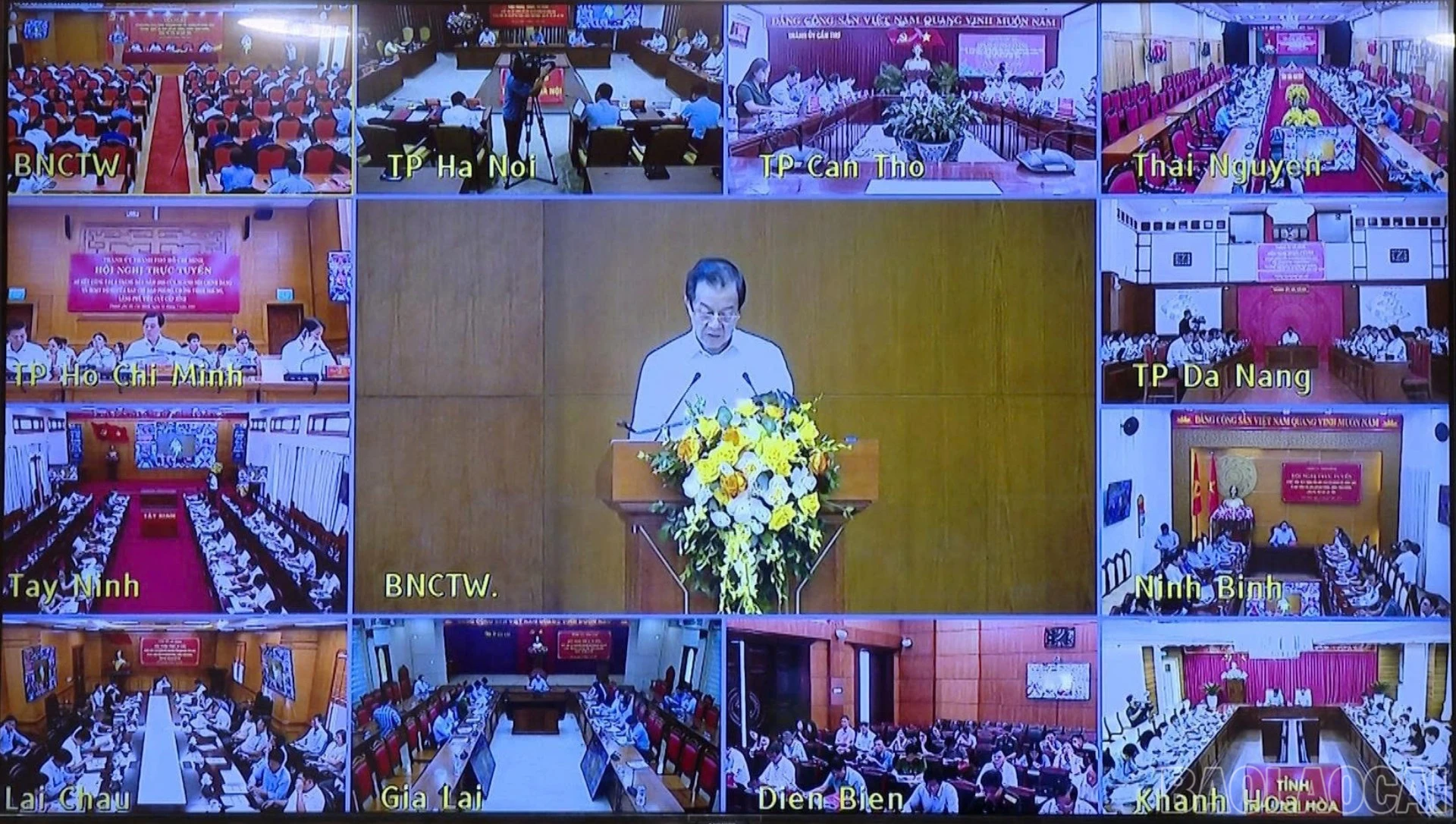 baolaocai-br_z8036363446727-eb1ecc3171cd77c65c24ac5bdf15e296-5124.jpg