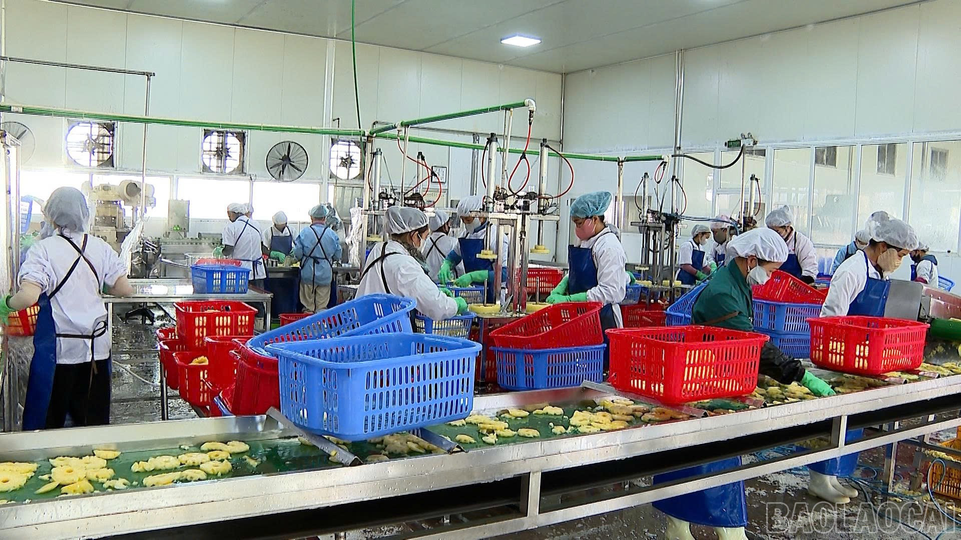 Doanh nghiệp và Nhân dân xã Bản Lầu tích cực thi đua lao động sản xuất, phát triển kinh tế tại địa phương.