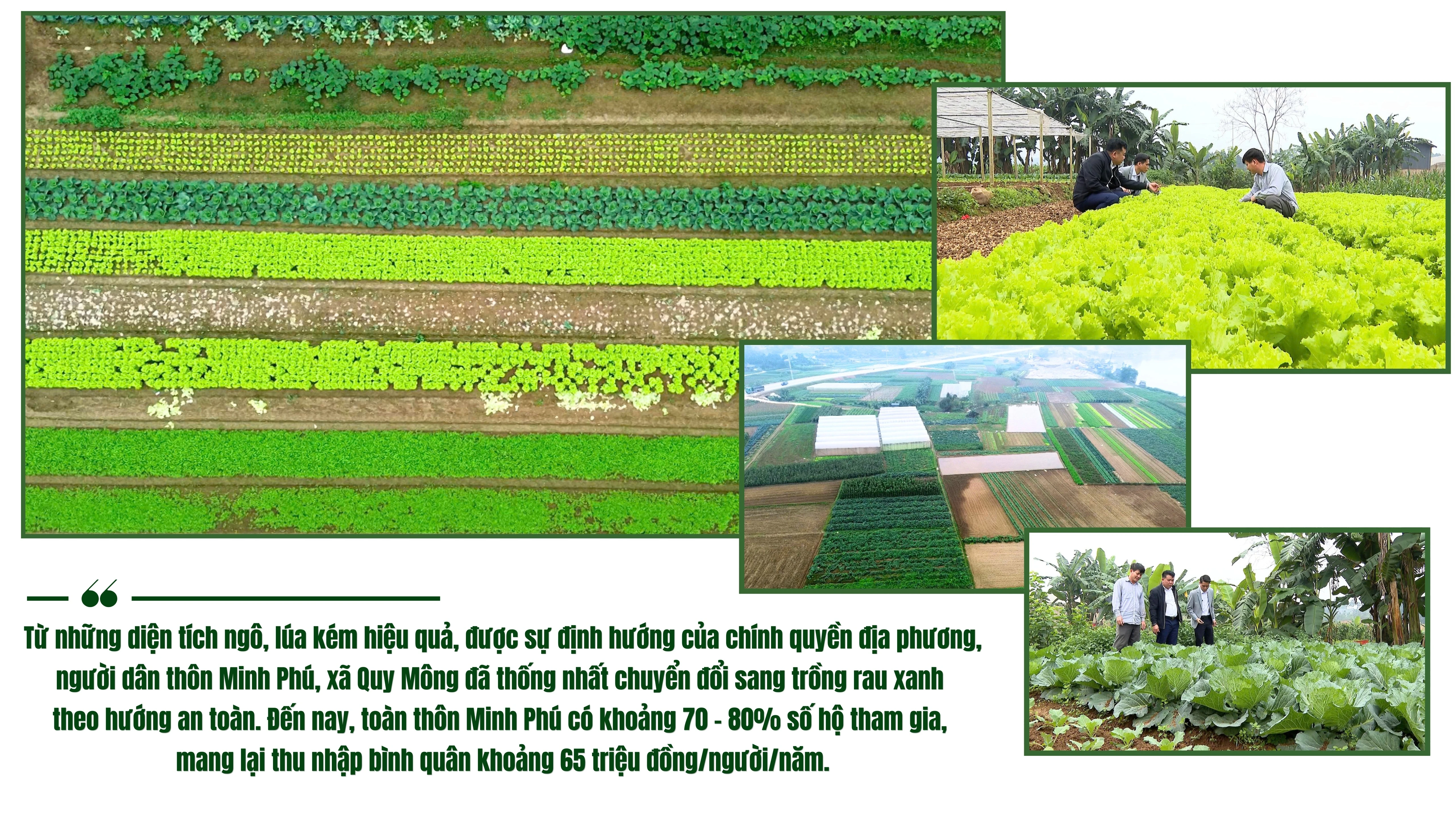 do-vang-hien-dai-loi-chuc-mung-thong-bao-nghi-le-ngay-quoc-khanh-viet-nam-29-304-15-facebook-banner-2.jpg