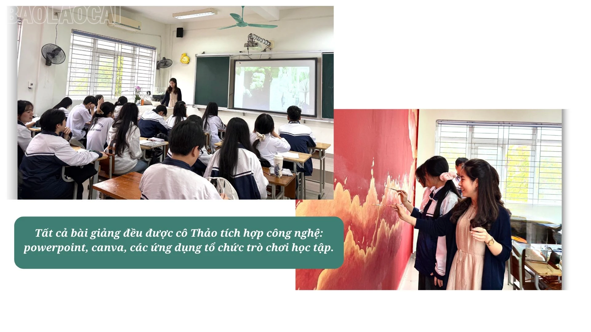 baolaocai-tl_4.jpg