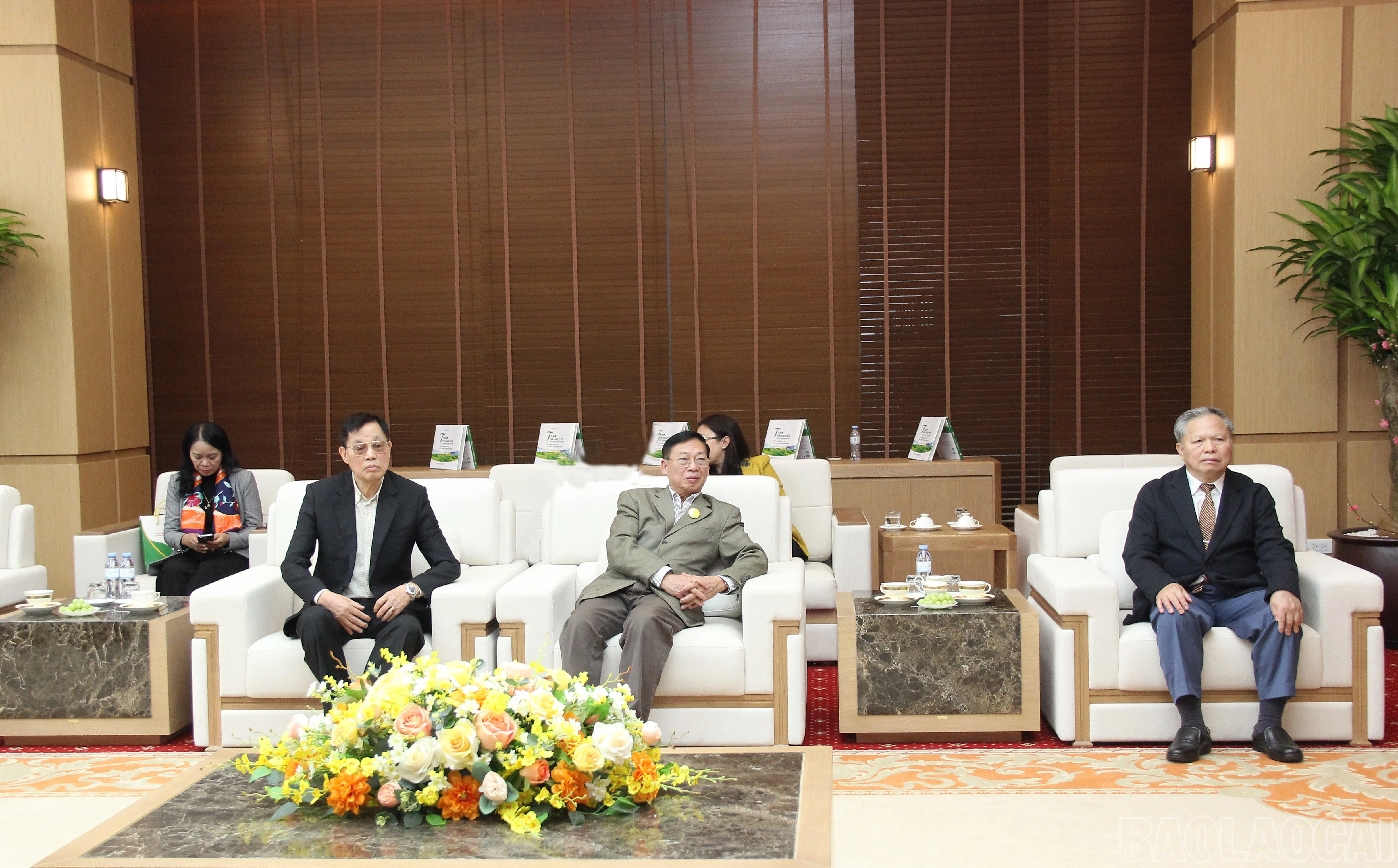 baolaocai-br_img-8959.jpg
