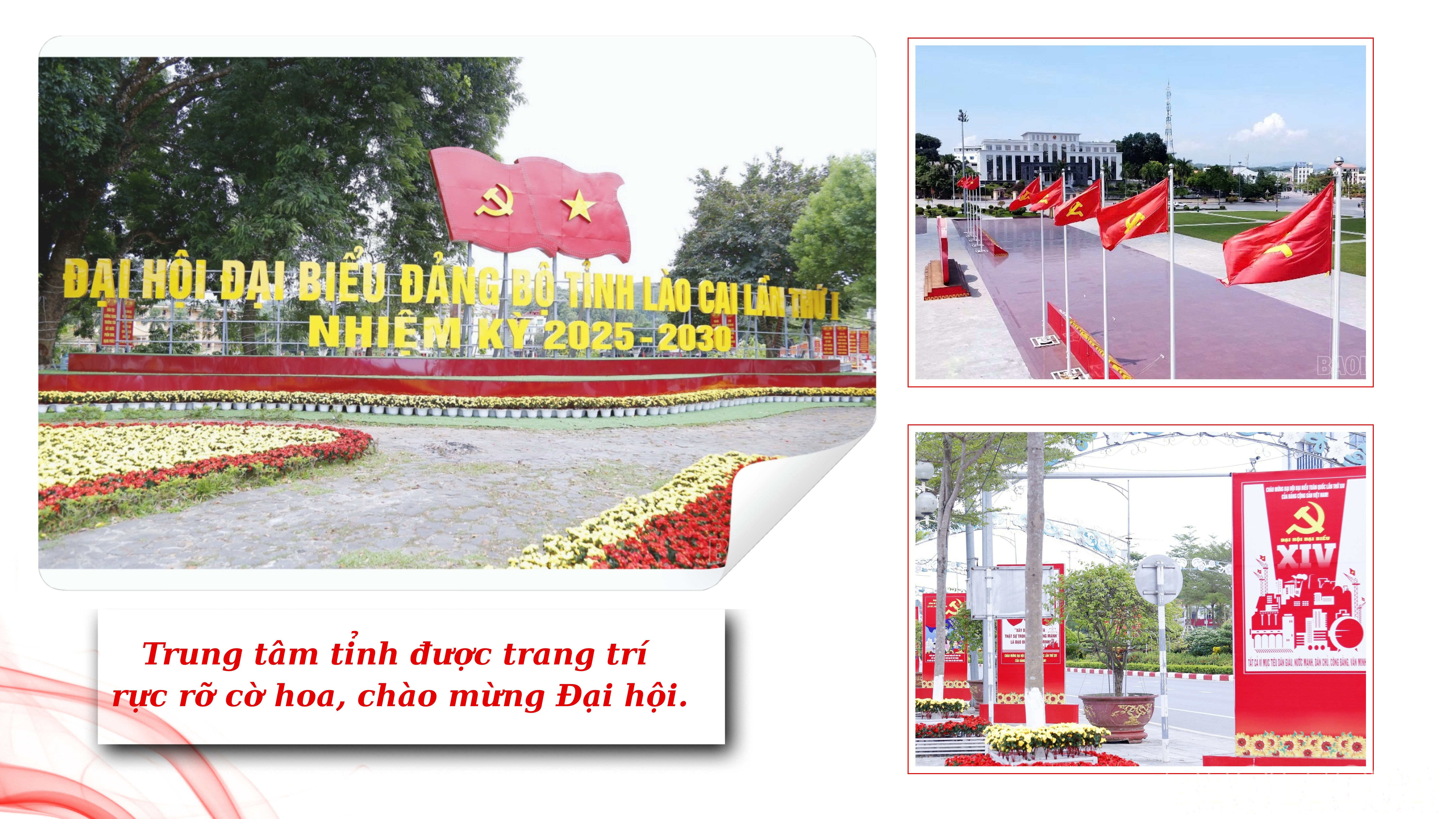 baolaocai-br_2-6495.png