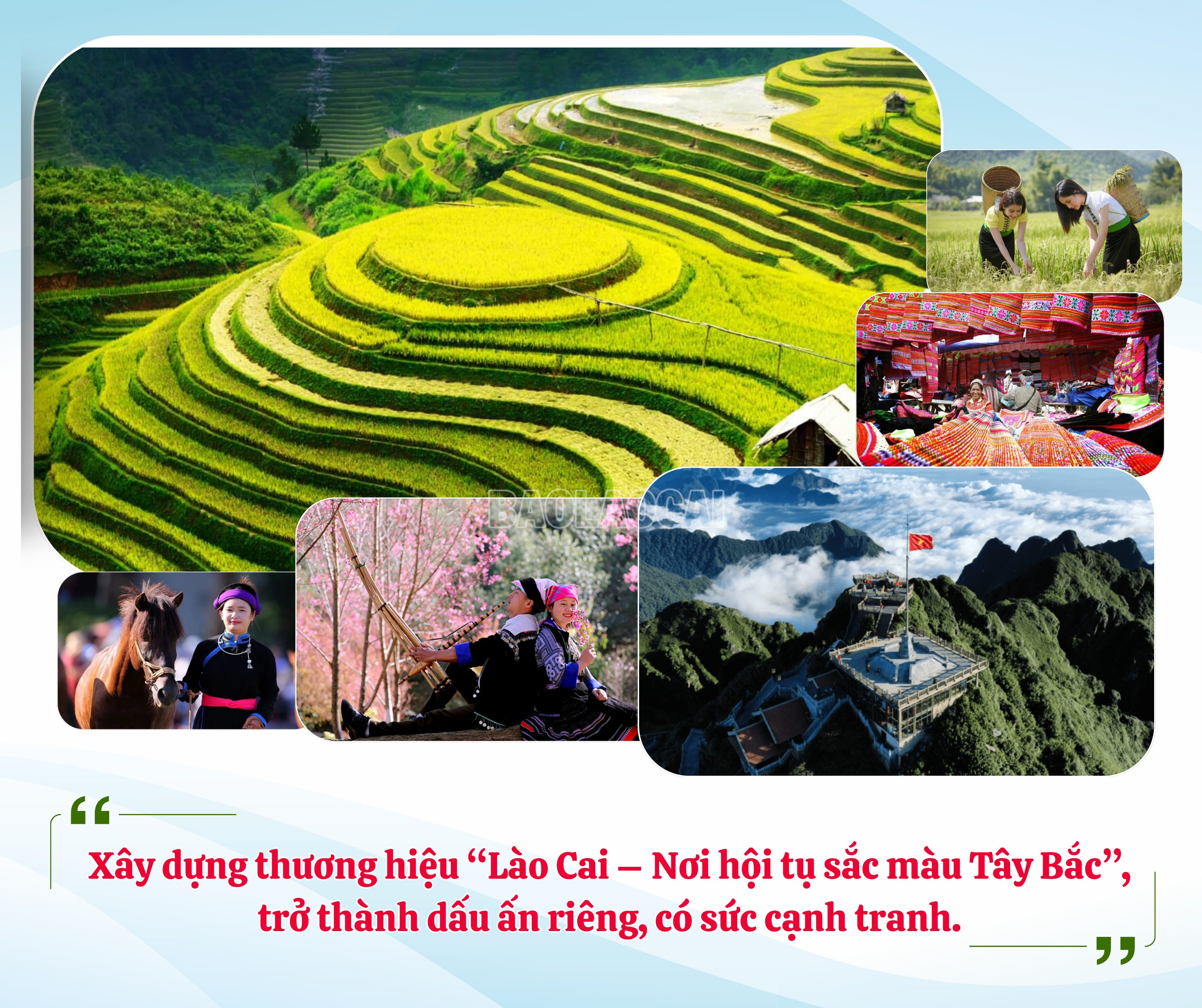 baolaocai-c_4-5179.png