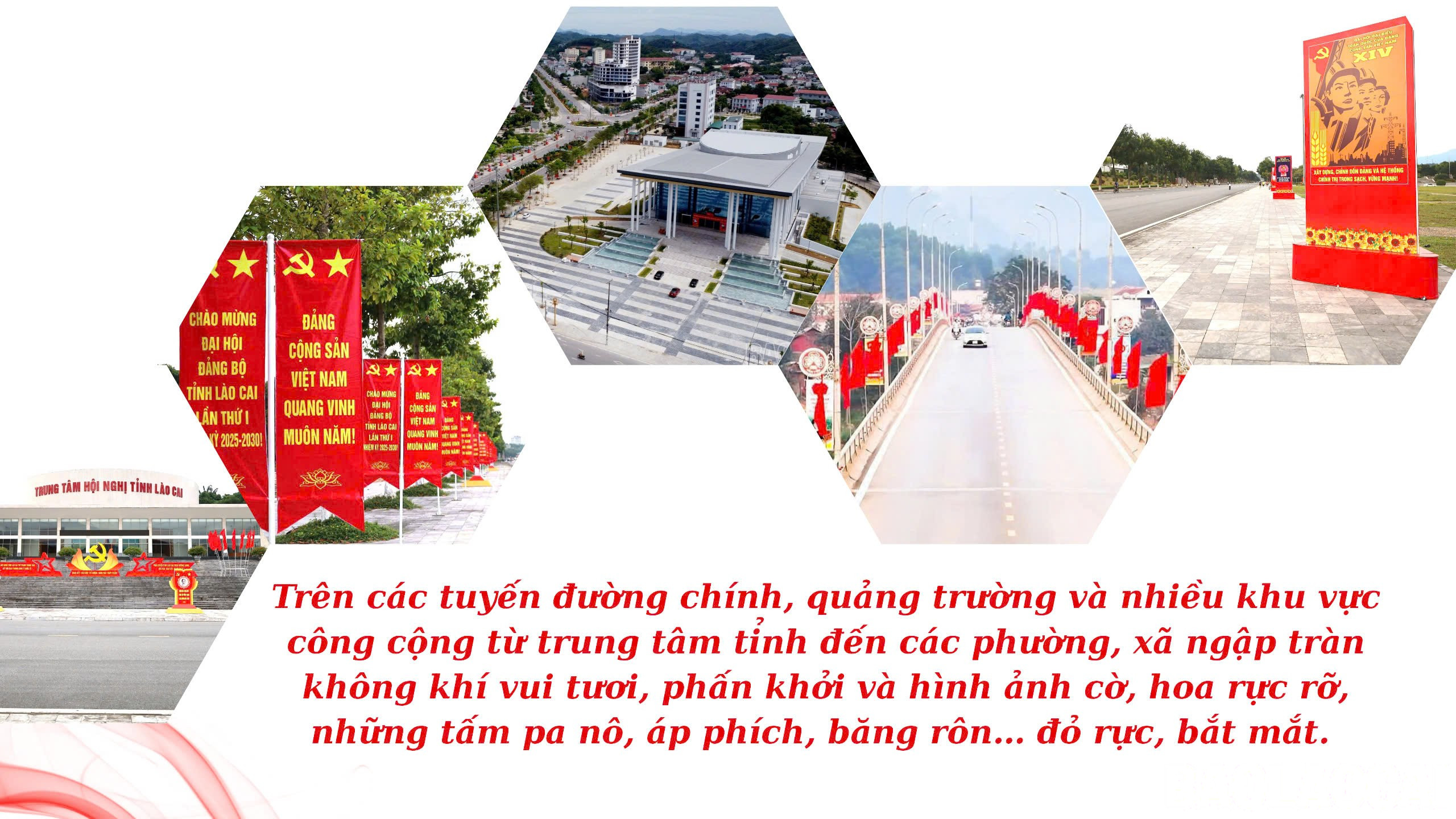 baolaocai-br_c4eff1943747bd19e456.jpg