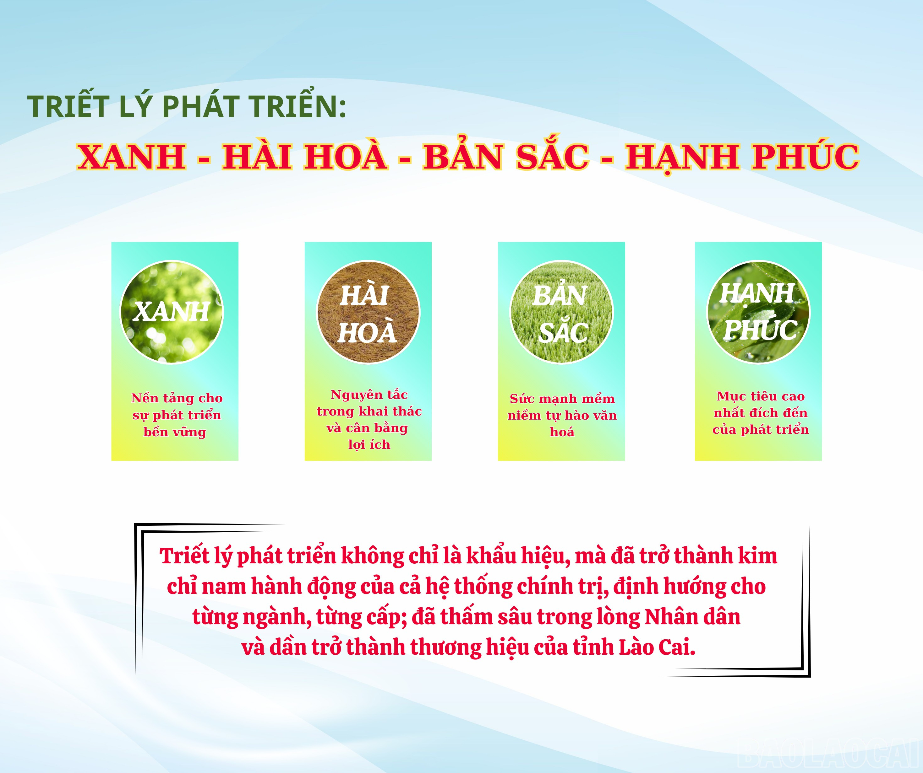 baolaocai-br_1-5198.png
