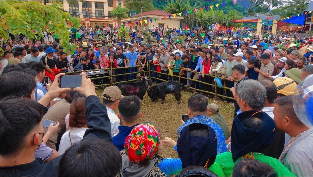 Hội thi chọi dê thu hút đông Nhân dân đến xem và cổ vũ. Hội thi chọi dê thu hút đông Nhân dân đến xem và cổ vũ.