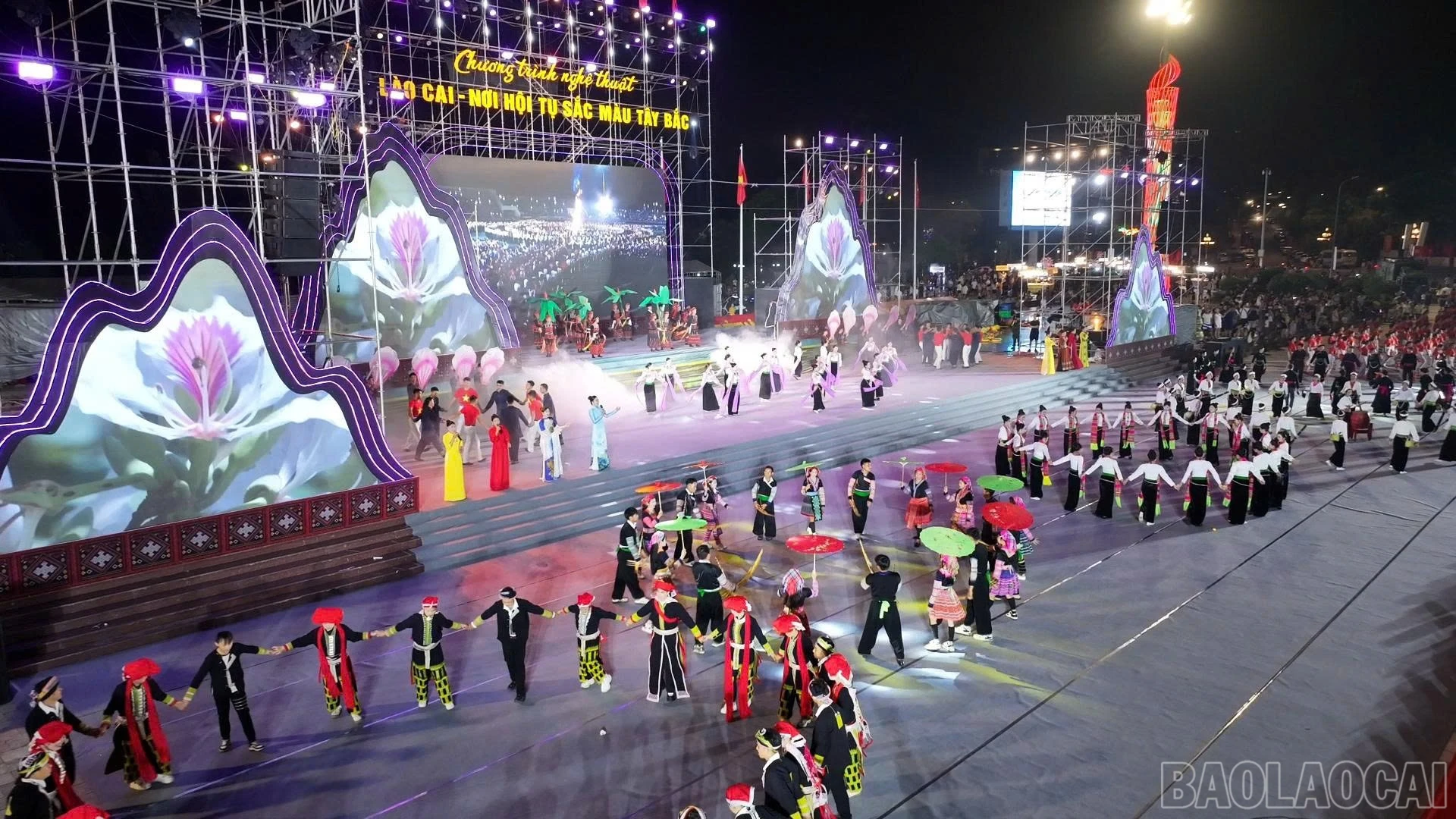 baolaocai-br_z8050437120446-2e95c3645d530ccbe262171499c49d27.jpg