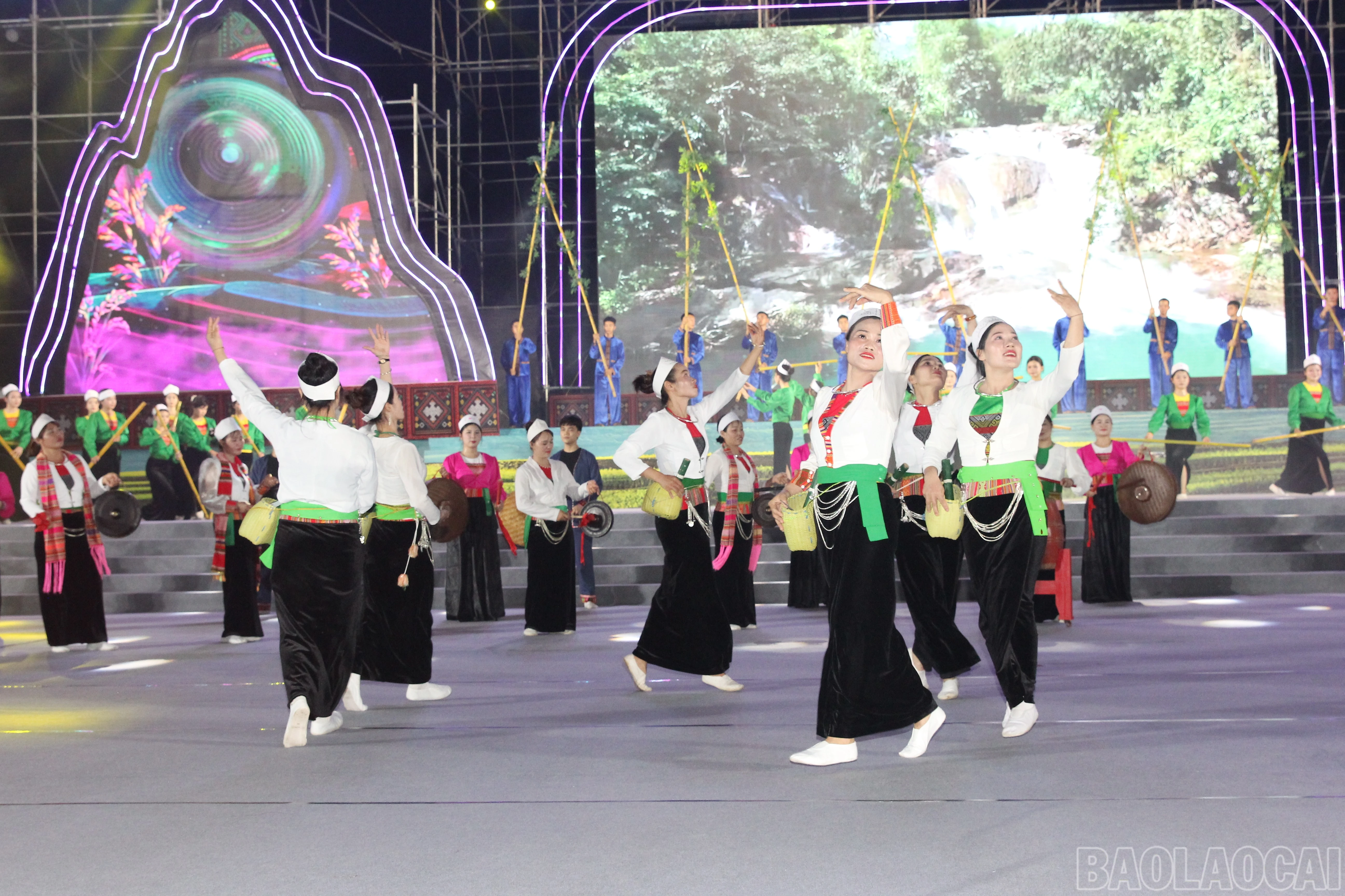 baolaocai-br_img-5614.jpg