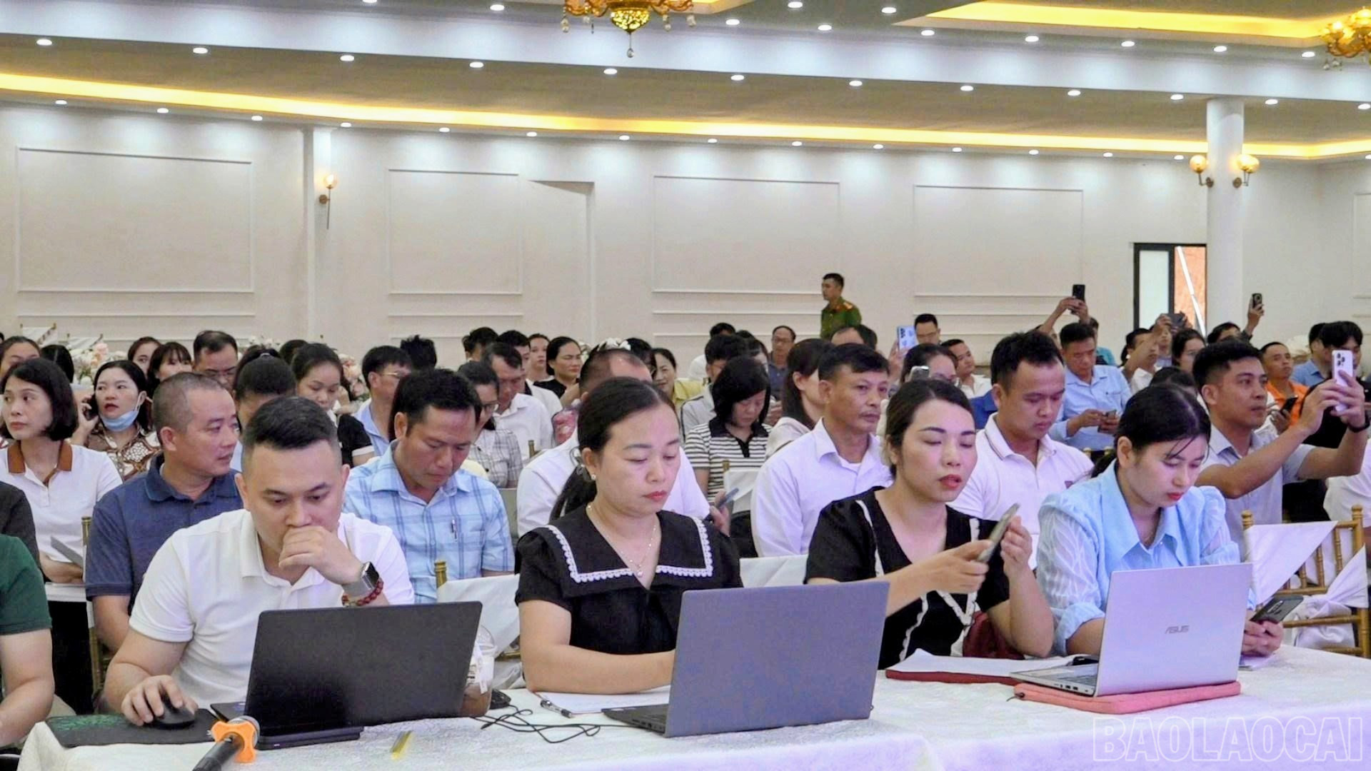baolaocai-br_541407016-2751856435010058-69570540209318877-n.jpg