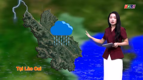 Dự báo thời tiết đêm 6 và ngày 7/8