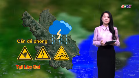Dự báo thời tiết đêm 9 và ngày 10/8