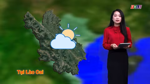 Dự báo thời tiết đêm 8 và ngày 9/8