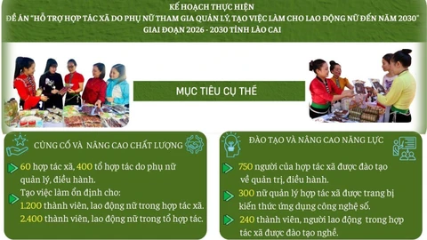 [Infographic] Mục tiêu thực hiện Đề án hỗ trợ hợp tác xã do phụ nữ tham gia quản lý trên địa bàn tỉnh Lào Cai, giai đoạn 2026 - 2030