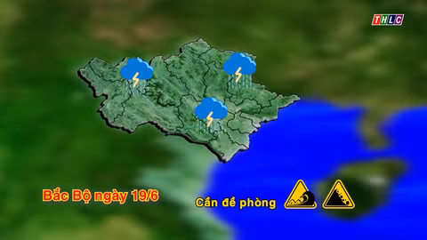 Dự báo thời tiết ngày 19/6
