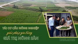 Tái cơ cấu nông nghiệp – Giải pháp gia tăng giá trị nông sản