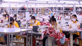 Công nhân, người lao động chấp hành nghiêm quy định về an toàn vệ sinh lao động trong sản xuất.