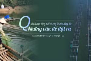 Bài 1: Phát triển “nóng” và những hệ lụy