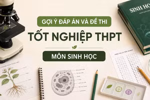 Cập nhật đề thi, đáp án môn Sinh học tốt nghiệp THPT 2026 nhanh mới nhất