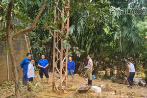 Khẩn trương khắc phục sự cố hạ tầng viễn thông