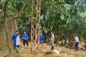 Khẩn trương khắc phục sự cố hạ tầng viễn thông