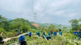 Sức trẻ “phủ xanh” trên Công trường Dự án 500kV Lào Cai - Vĩnh Yên