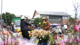 Thị trường đồ lễ Táo Quân: Giá tăng nhẹ, sức mua giảm