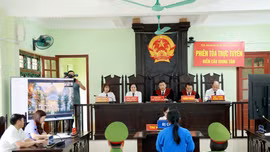 Tòa án nhân dân tỉnh Lào Cai: Xét xử đồng loạt 4 vụ án ma túy trong một ngày