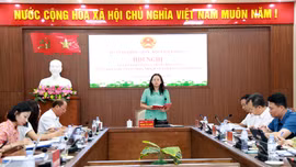 Đoàn đại biểu Quốc hội tỉnh triển khai nhiệm vụ 6 tháng cuối năm 2026