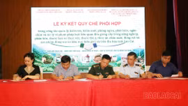 Lào Cai tăng cường phối hợp ngăn chặn dịch bệnh truyền lây xuyên biên giới trên vật nuôi